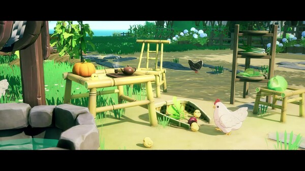 Video 6