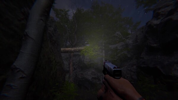 Video 1