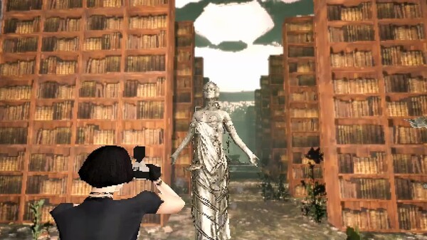 Video 3