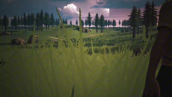 Video 1