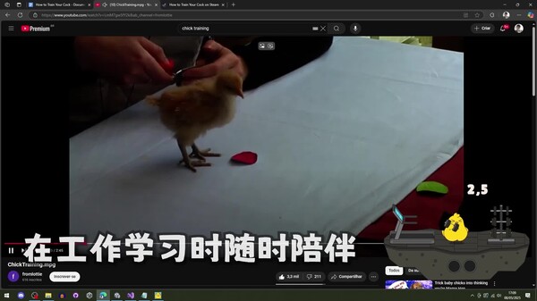 Video 1