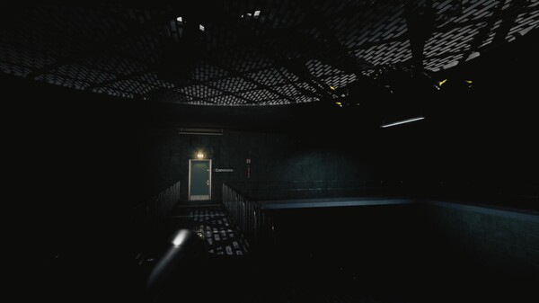 Video 7