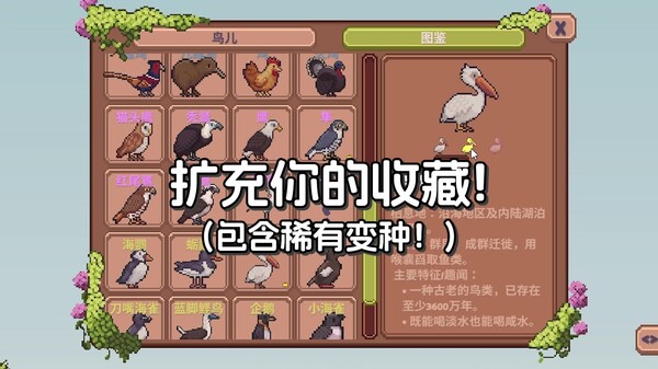Video 1