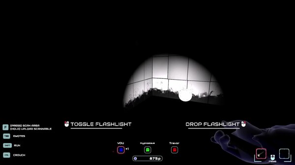 Video 1