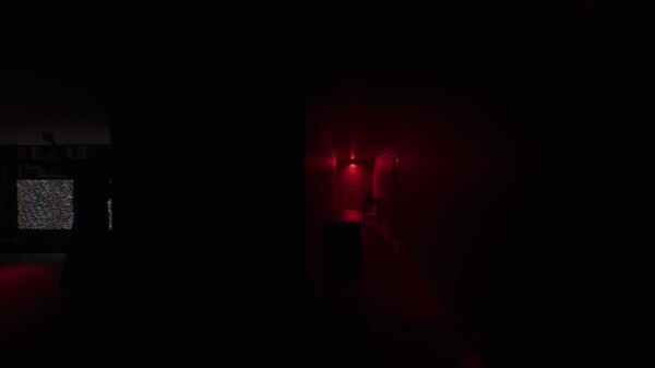 Video 3