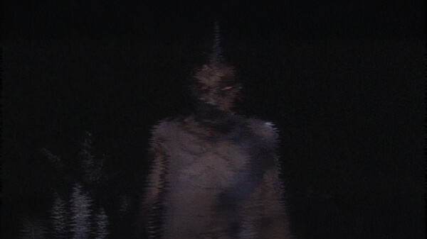 Video 2