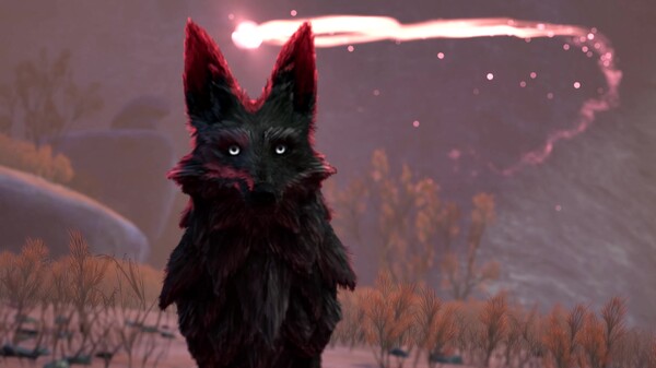 Video 1