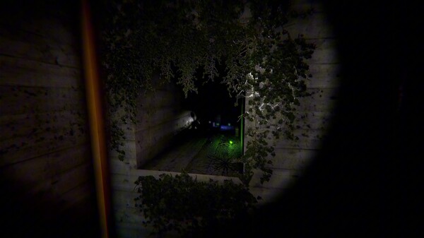 Video 1