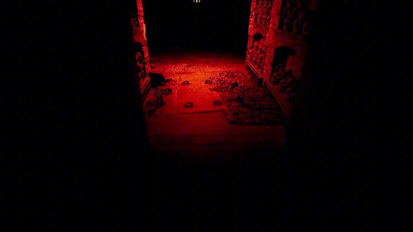 Video 1