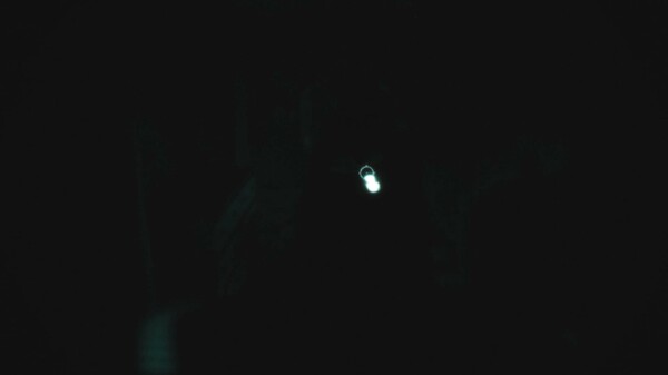 Video 2
