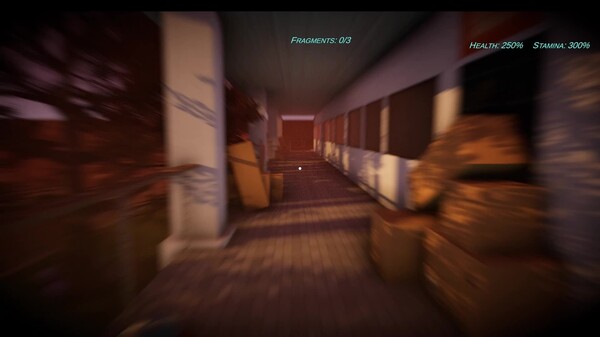 Video 2
