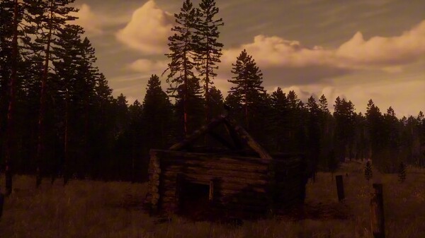 Video 1