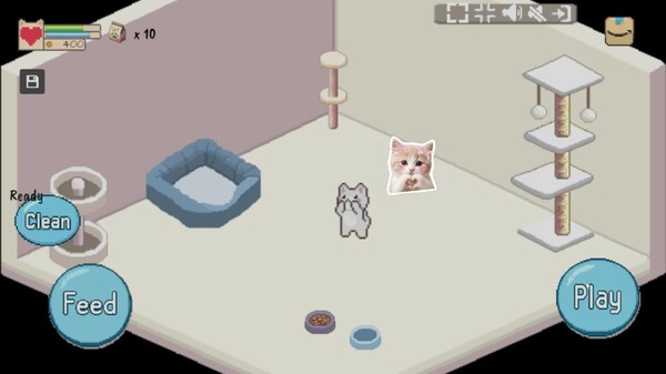 Video 3