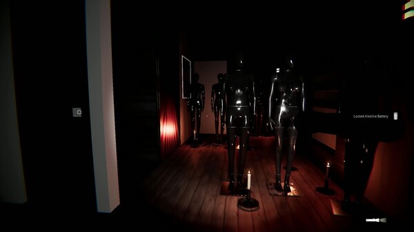 Video 1