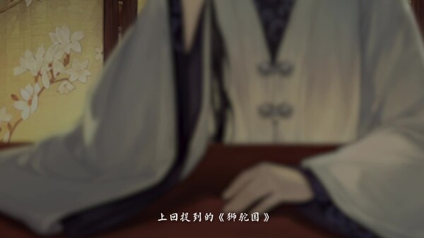 Video 4