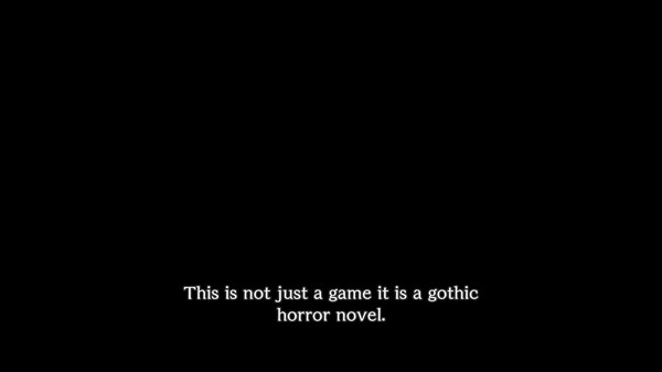 Video 2