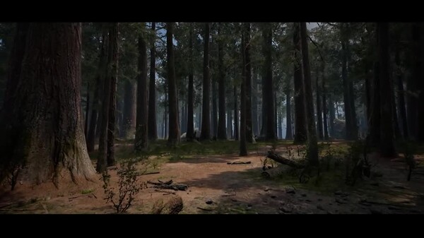 Video 3