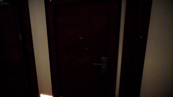 Video 1