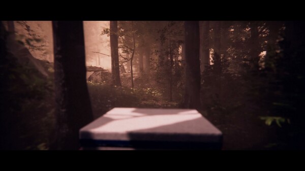 Video 2