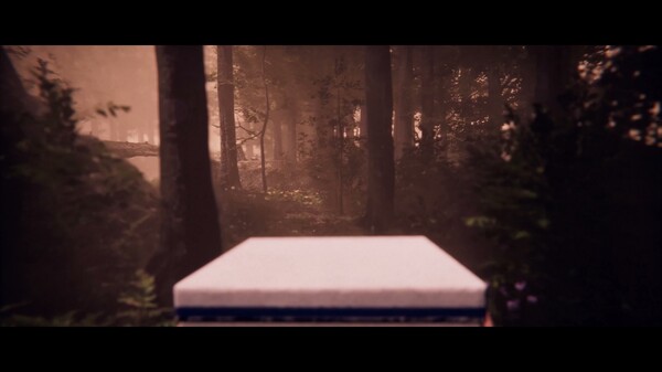 Video 1