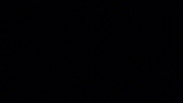 Video 2