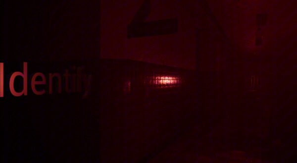 Video 1