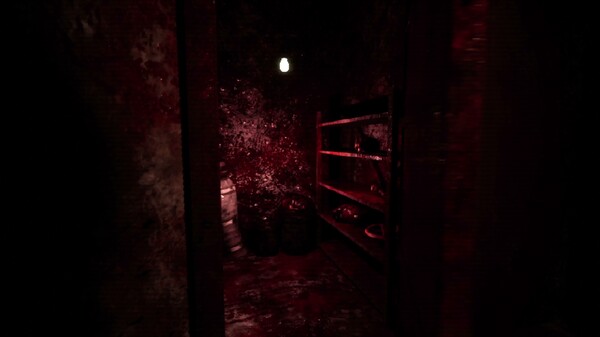 Video 1