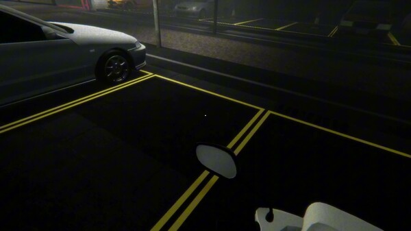 Video 1