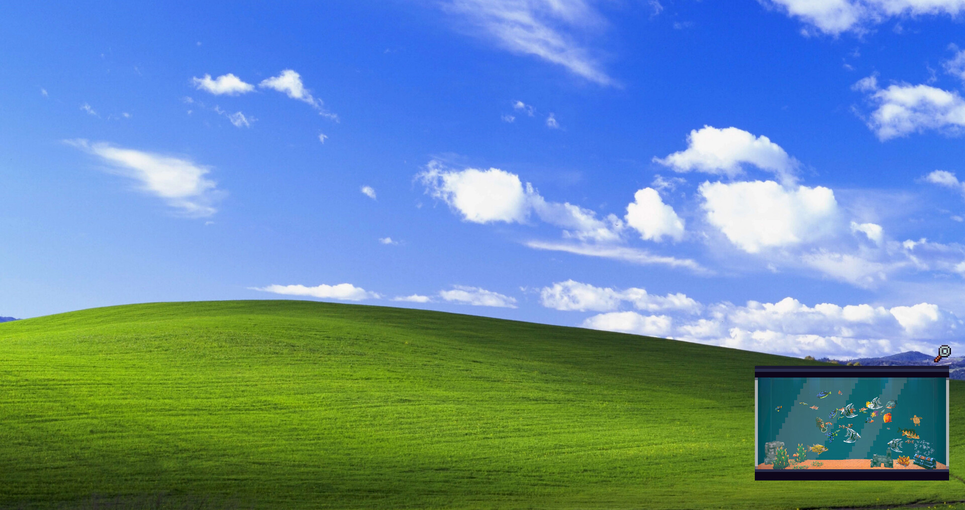 全球鱼友俱乐部：放置好时光/Tiny Aquarium: Social Fishkeeping 截图 7