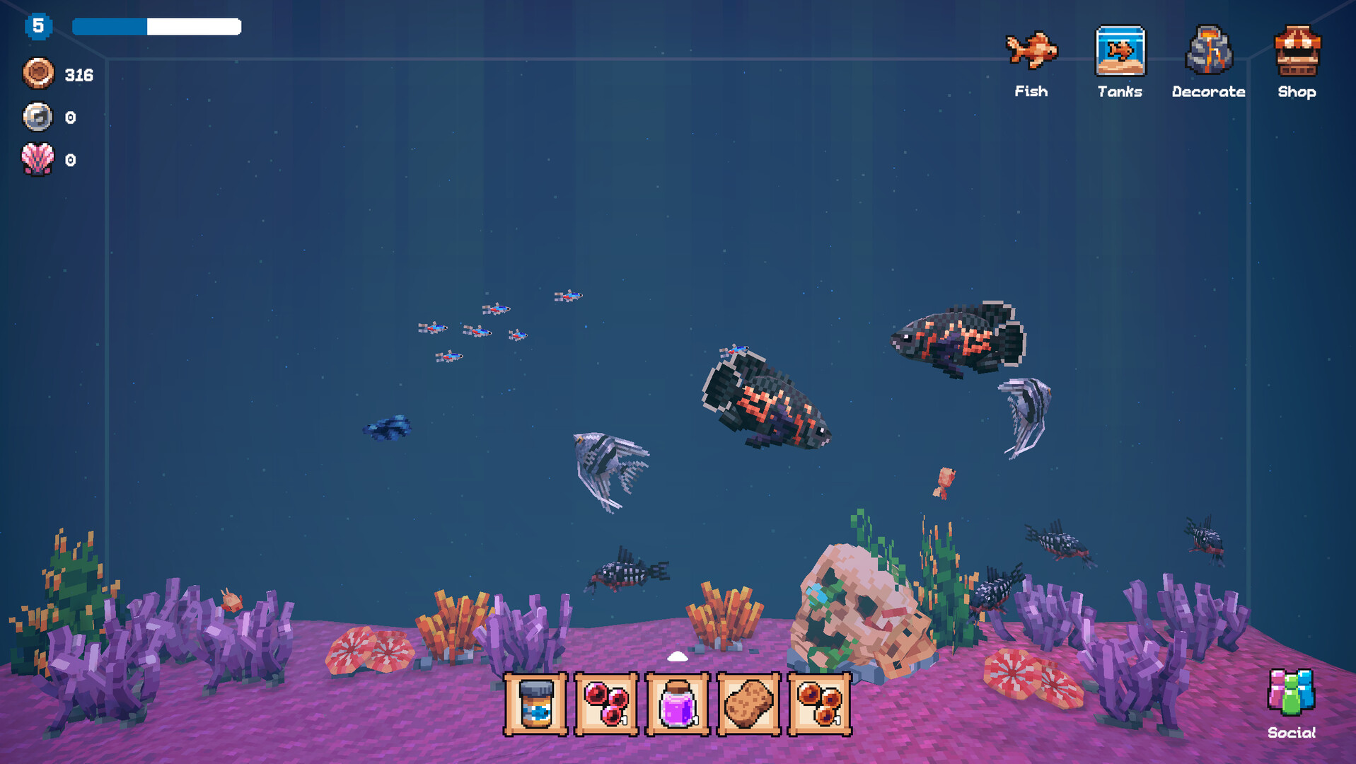 全球鱼友俱乐部:放置好时光(Tiny Aquarium: Social Fishkeeping)绿色版|百度云迅雷下载