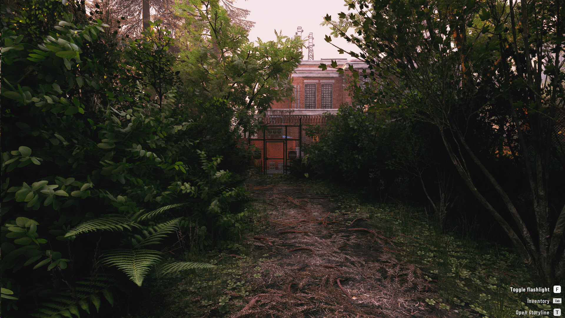 Image 14