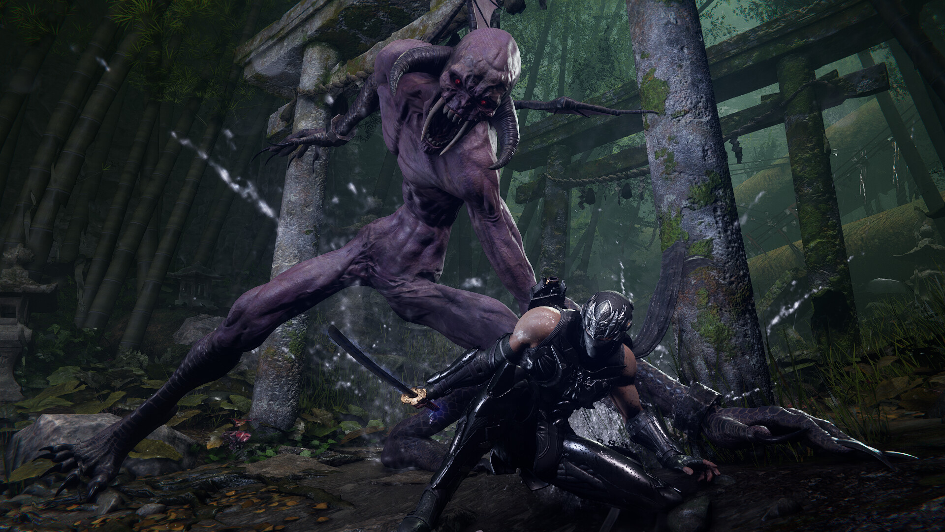 图片[6]-忍者龙剑传4 / NINJA GAIDEN 4 简体中文版-软壳源码网