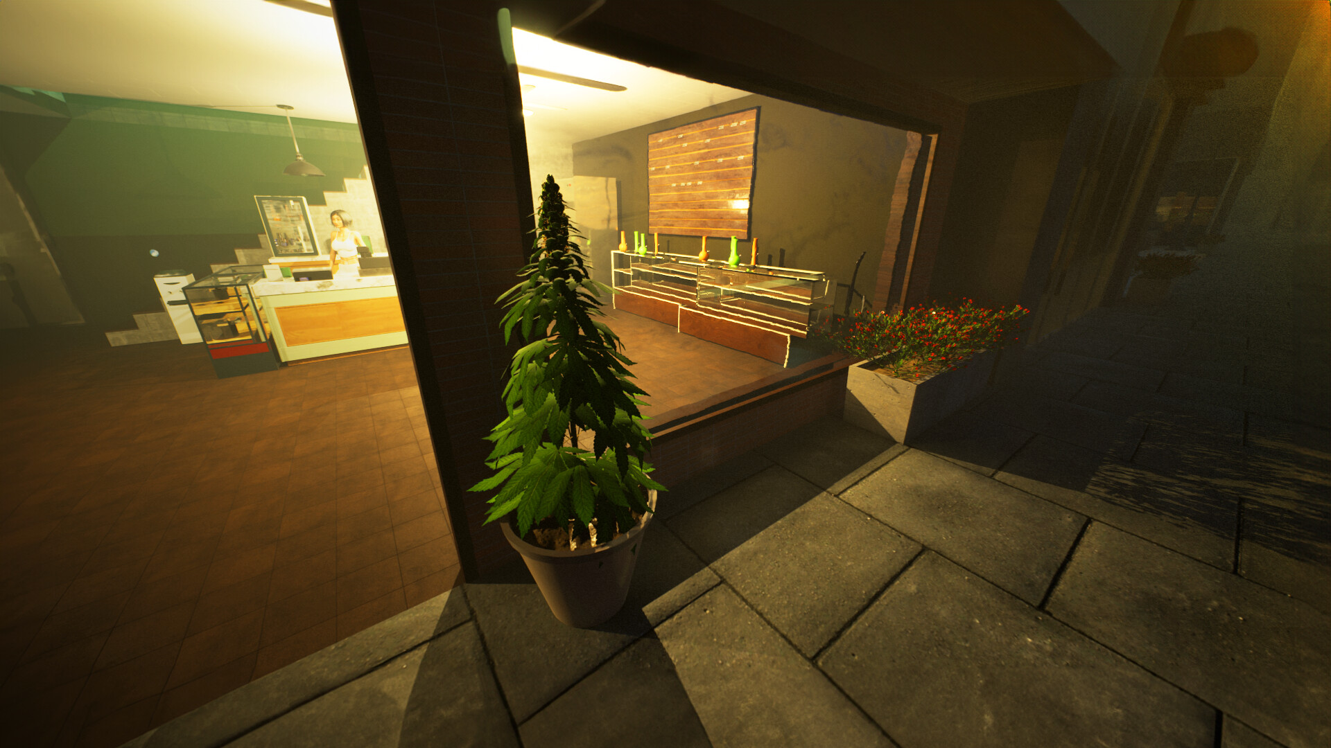 Image 3
