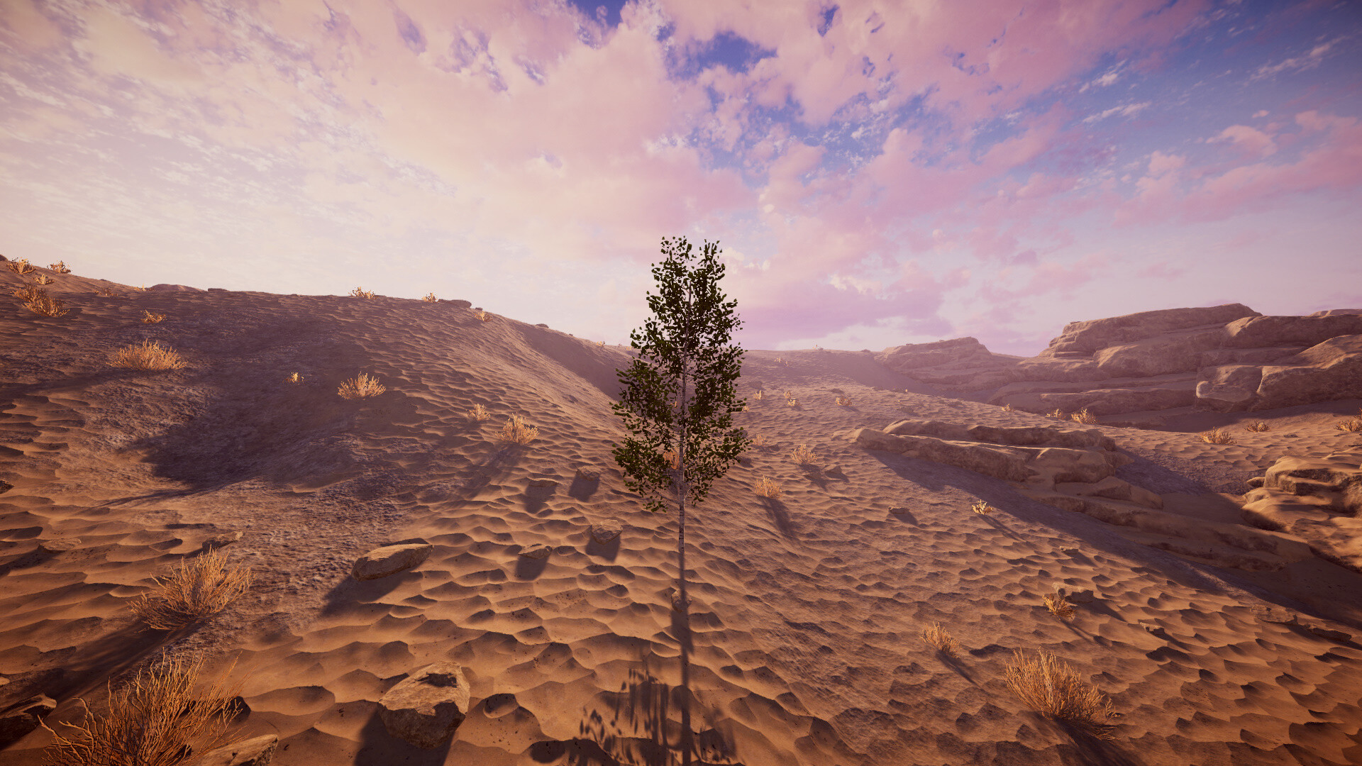 桦树模拟器|官方英文|Birch Simulator|大树模拟器|树木模拟器 - 17