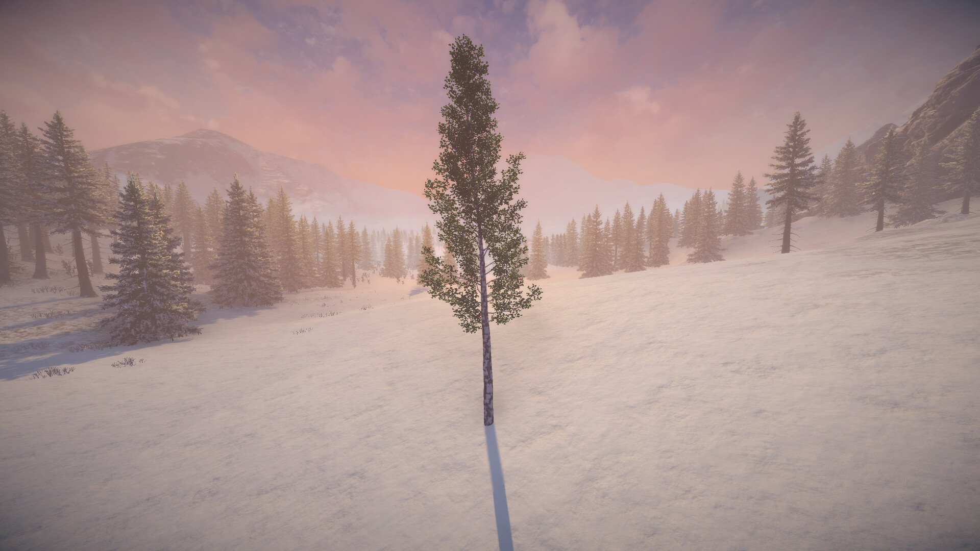 桦树模拟器|官方英文|Birch Simulator|大树模拟器|树木模拟器 - 6