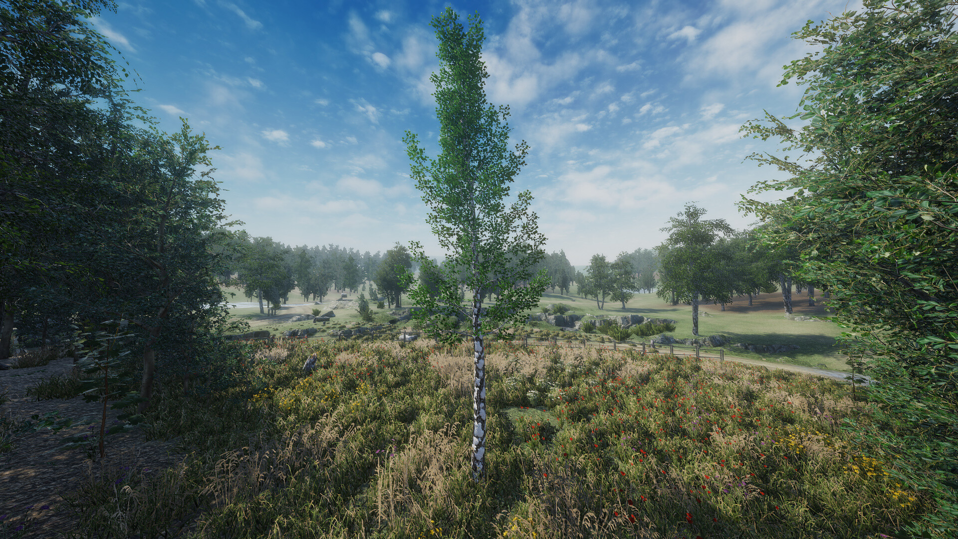 桦树模拟器|官方英文|Birch Simulator|大树模拟器|树木模拟器 - 8
