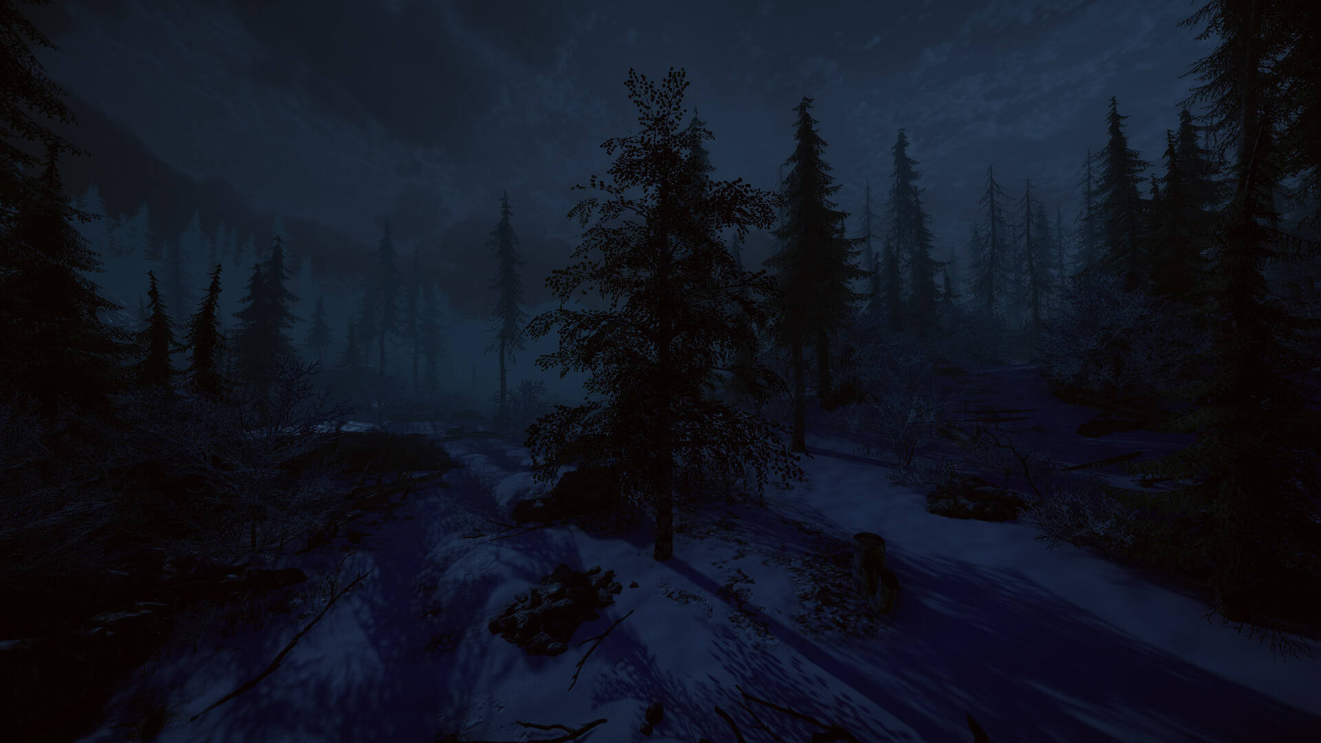 桦树模拟器|官方英文|Birch Simulator|大树模拟器|树木模拟器 - 9