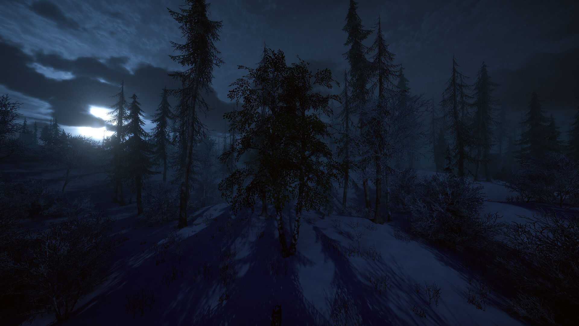 桦树模拟器|官方英文|Birch Simulator|大树模拟器|树木模拟器 - 10