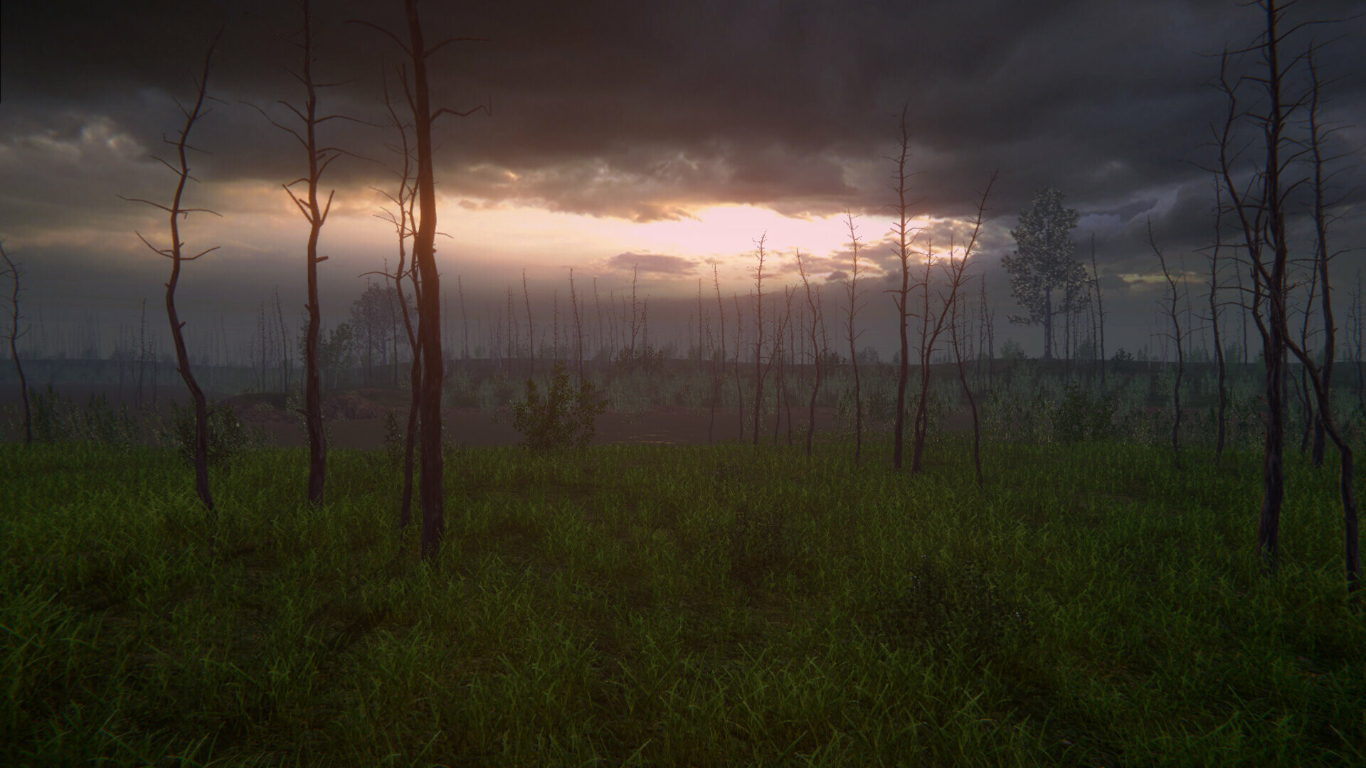 桦树模拟器|官方英文|Birch Simulator|大树模拟器|树木模拟器 - 12