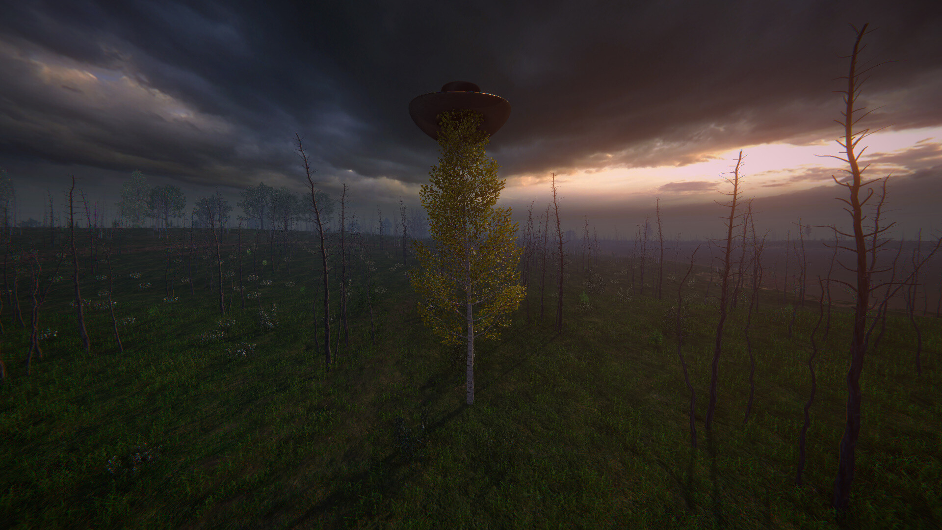 桦树模拟器|官方英文|Birch Simulator|大树模拟器|树木模拟器 - 11