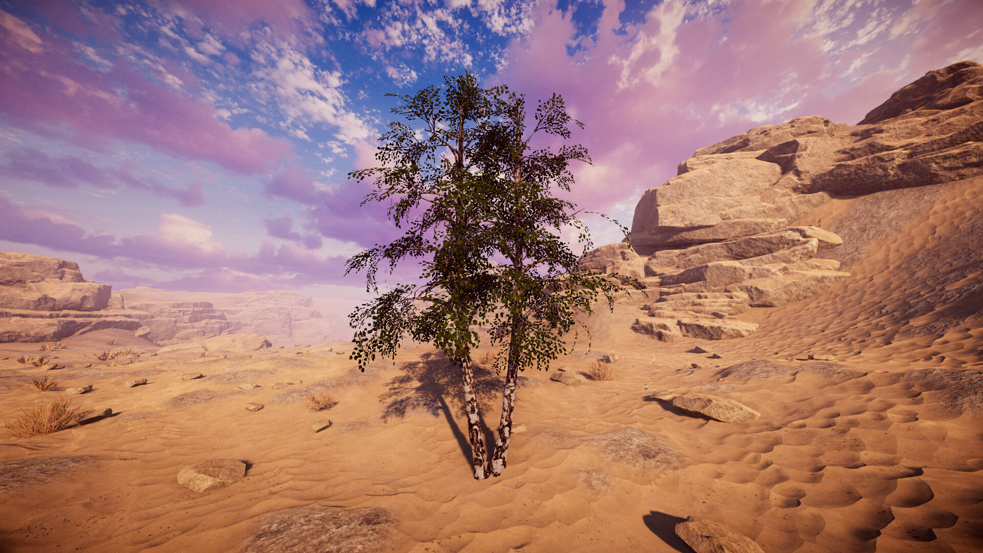 桦树模拟器|官方英文|Birch Simulator|大树模拟器|树木模拟器 - 16
