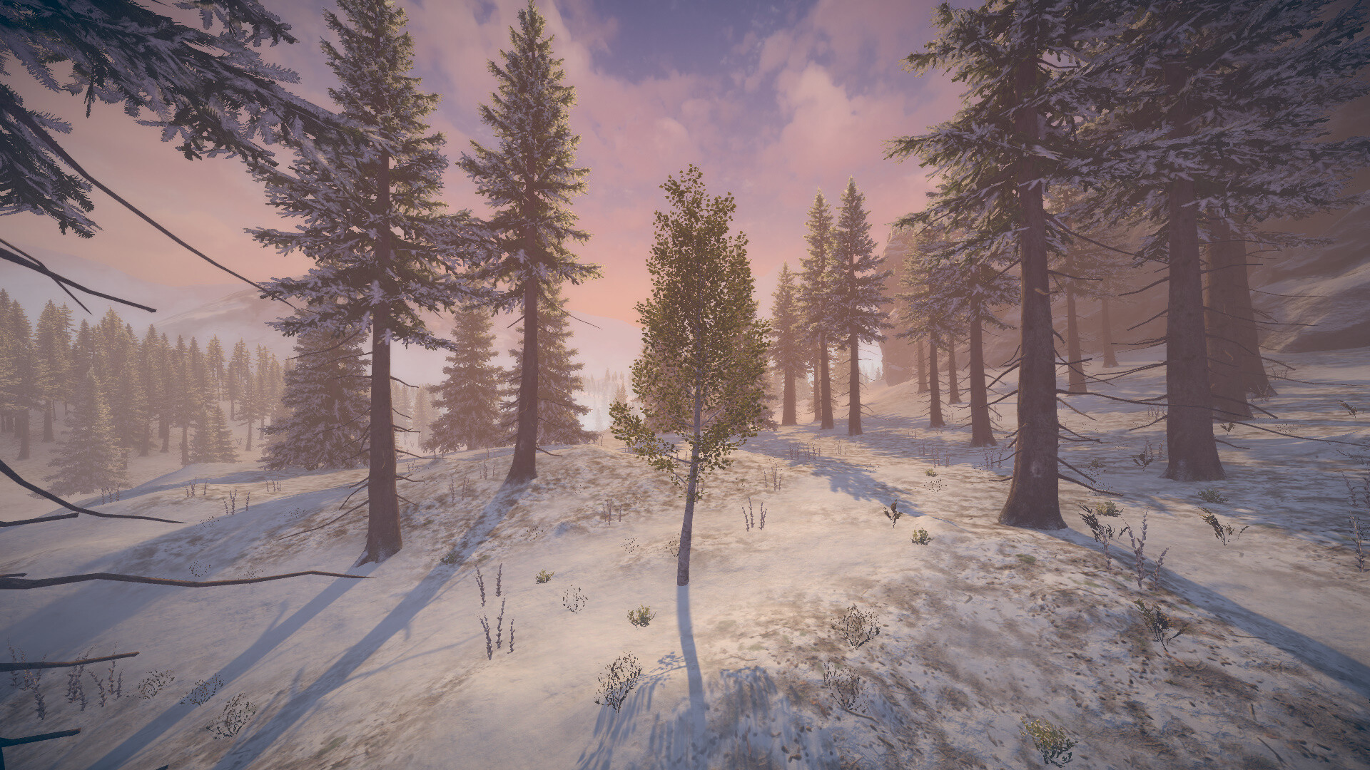 桦树模拟器|官方英文|Birch Simulator|大树模拟器|树木模拟器 - 13