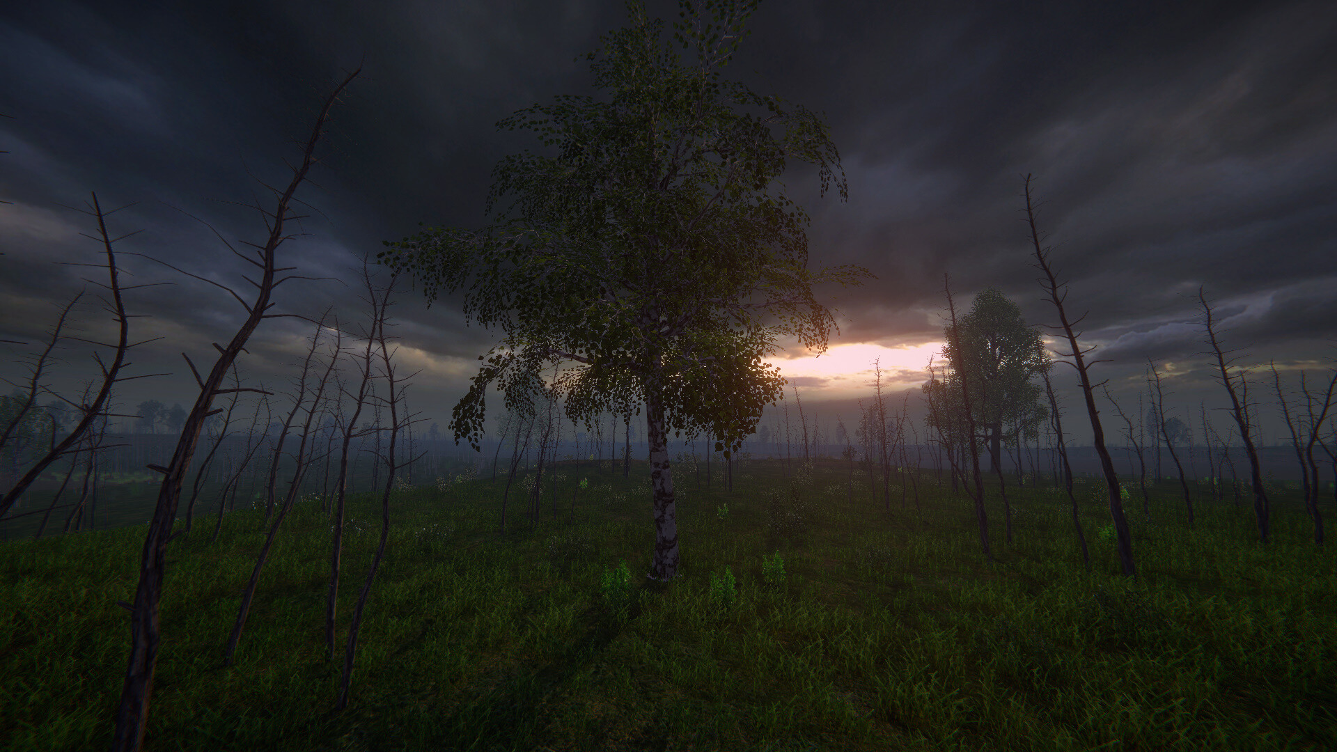 桦树模拟器|官方英文|Birch Simulator|大树模拟器|树木模拟器 - 18