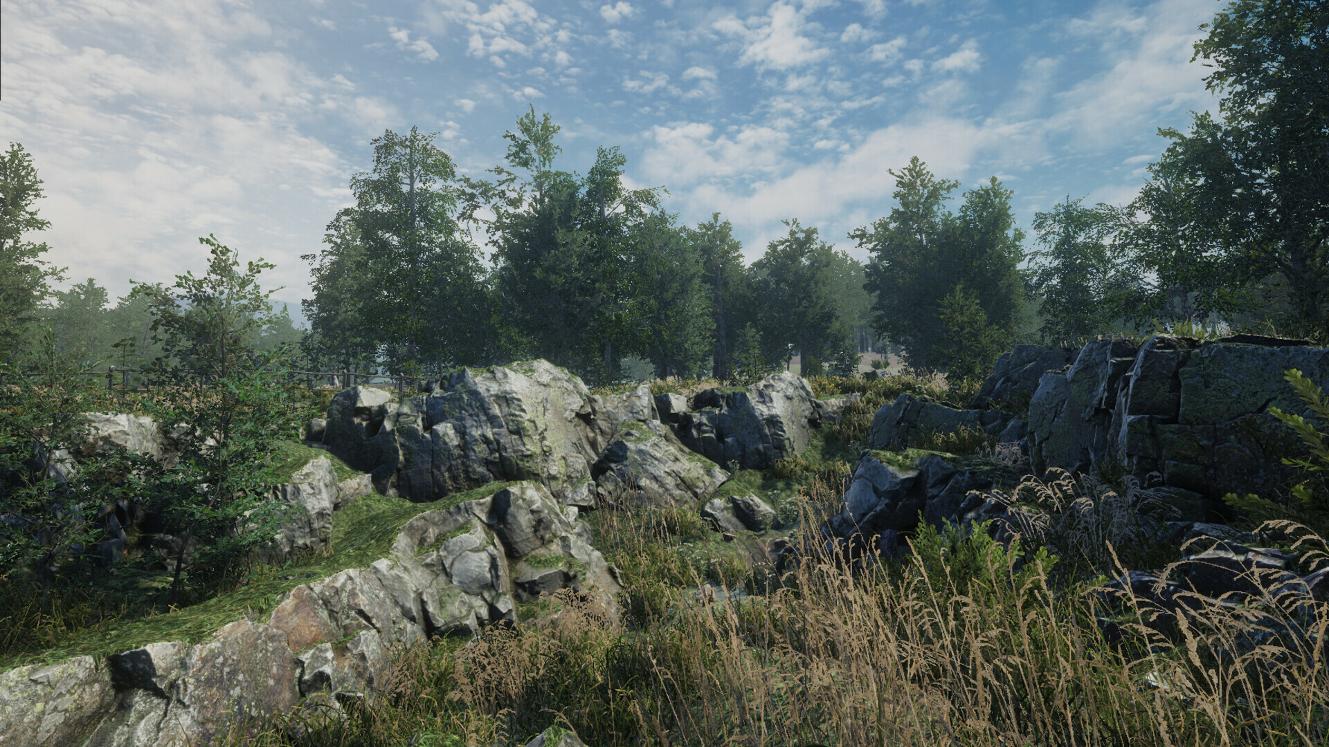 桦树模拟器|官方英文|Birch Simulator|大树模拟器|树木模拟器 - 21
