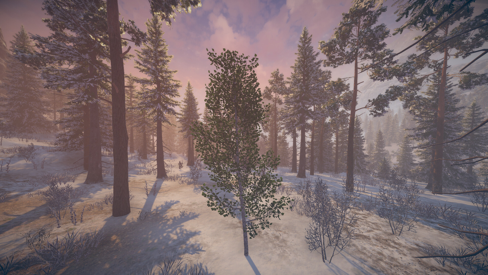 桦树模拟器|官方英文|Birch Simulator|大树模拟器|树木模拟器 - 5