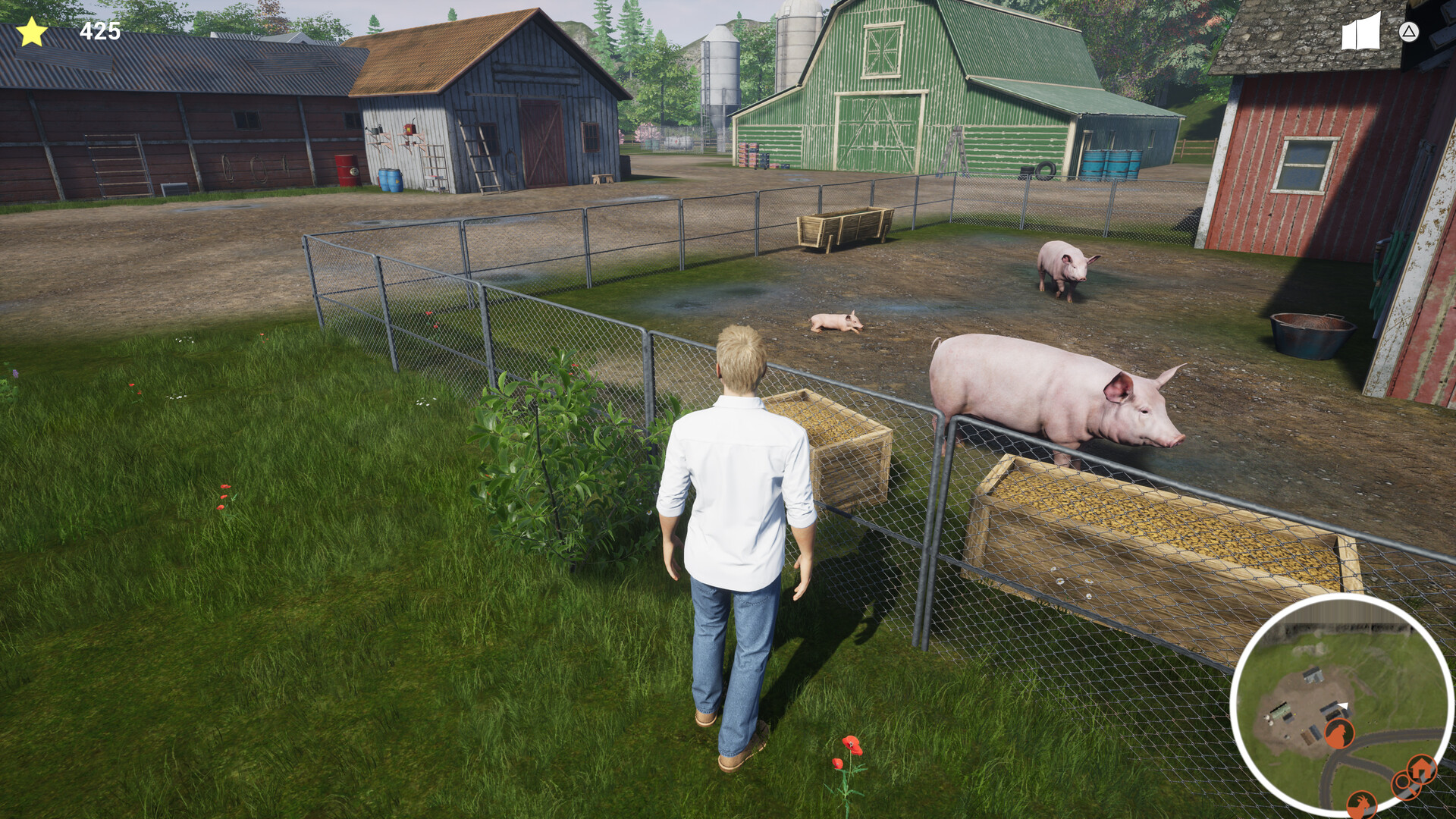 我的生活：农场兽医|官方英文|支持手柄|My Life: Farm Vet - 2