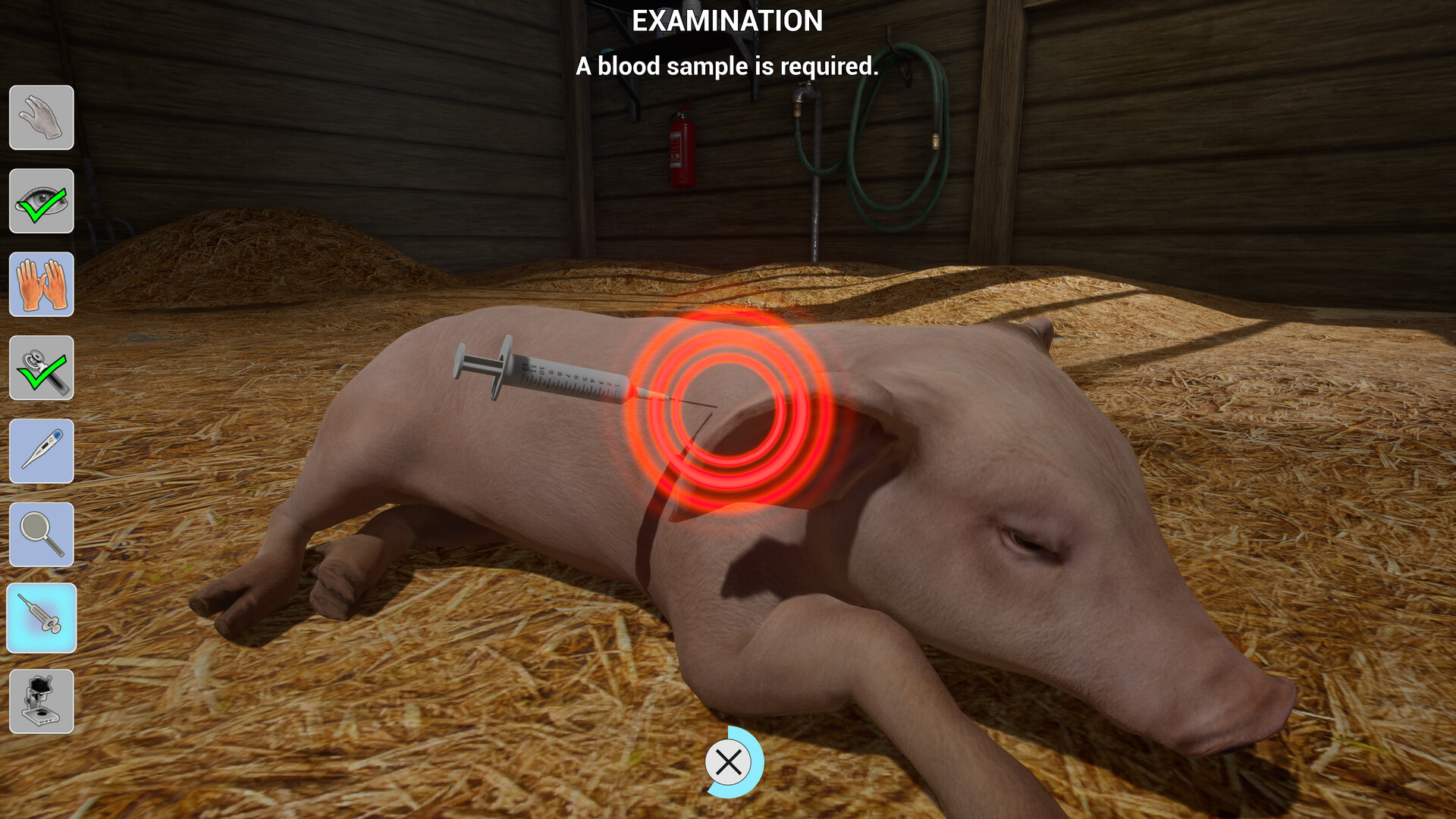 我的生活：农场兽医|官方英文|支持手柄|My Life: Farm Vet - 13