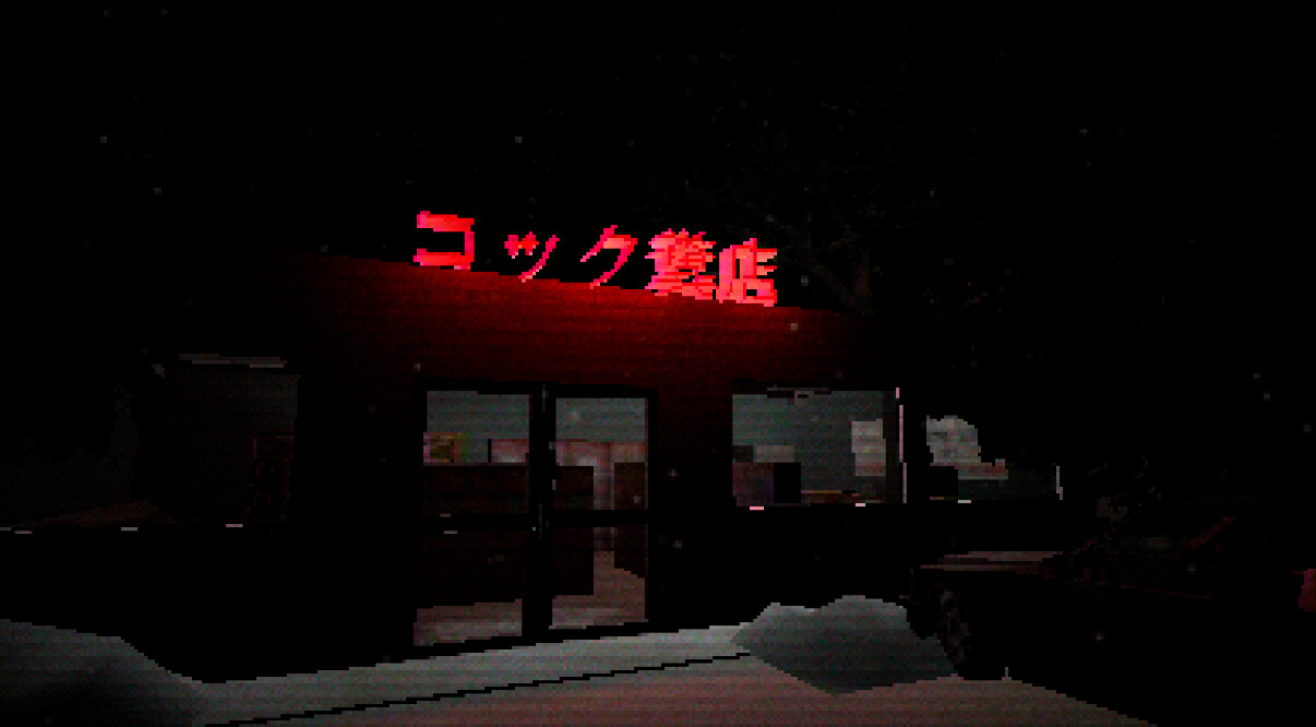 Image 8