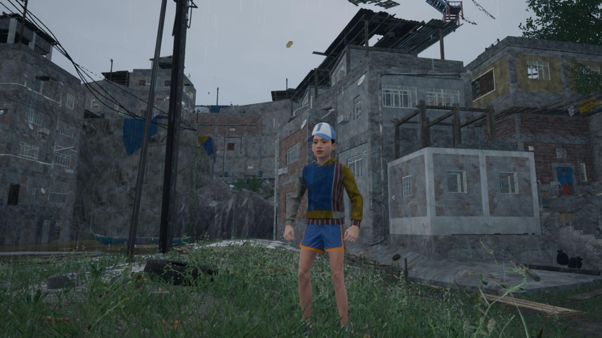 Image 5