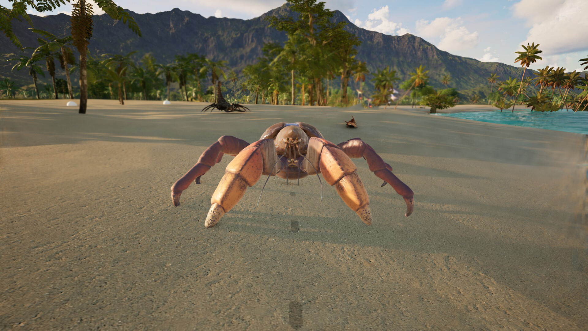 恐龙世界/Dinosaur World 截图 13